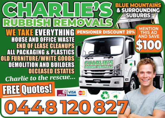 Logo and Graphic Design Sydney Advertising
