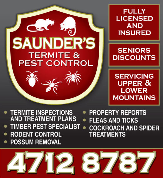 Logo and Graphic Design Sydney Advertising