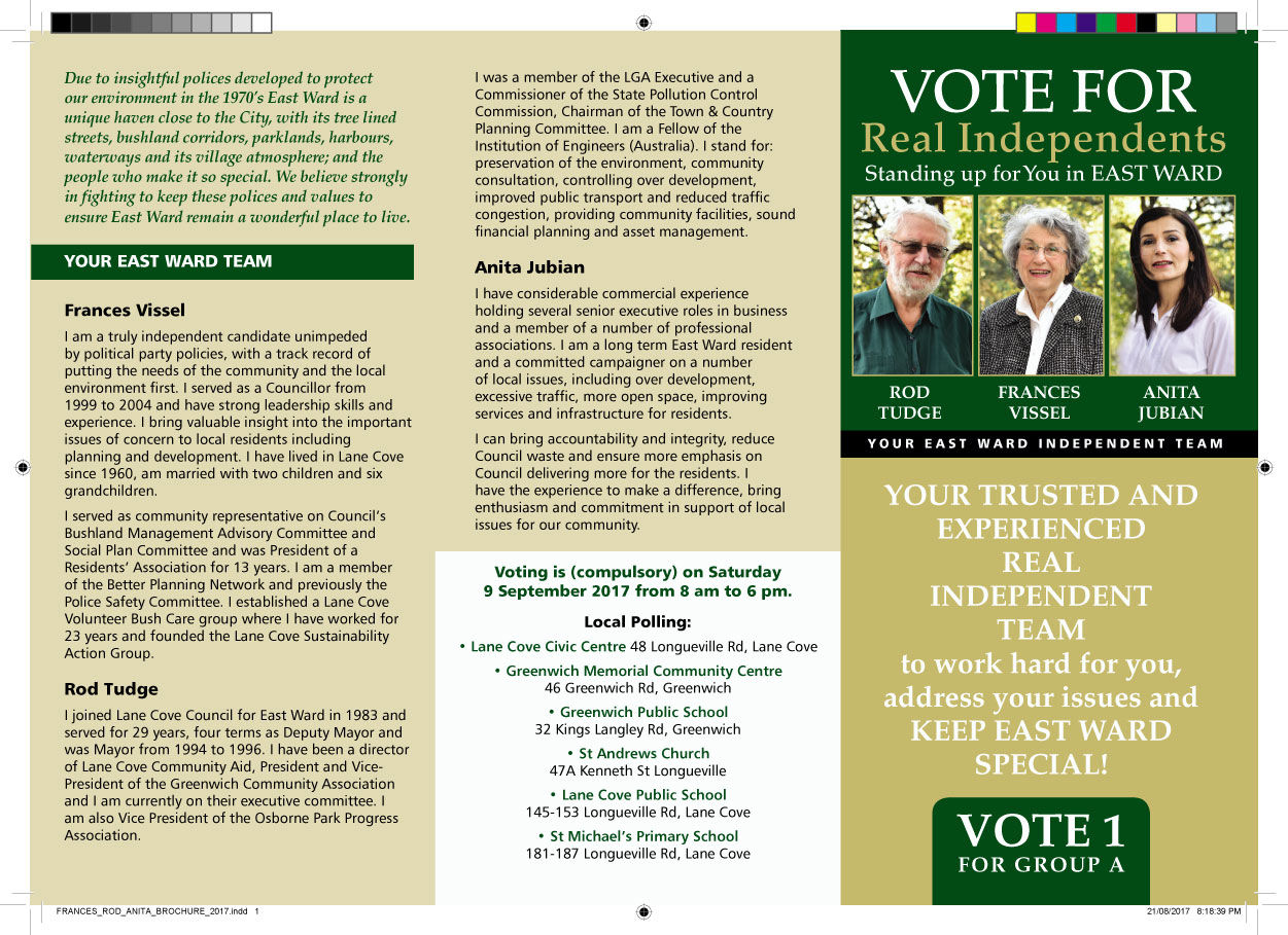 Flyer Graphic Design for Independents