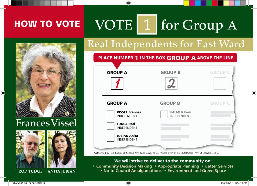 How to Vote Graphic Design for Independents